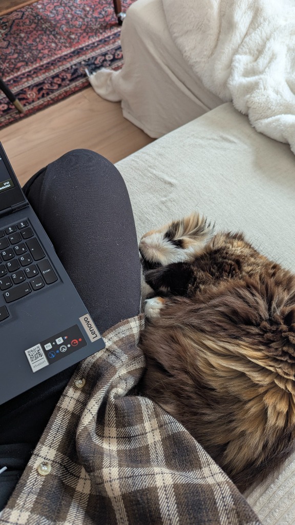 photo seance Louise Plessier