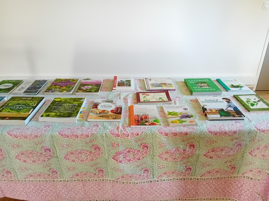 photo activite L’Ortie dieteticienne herbaliste