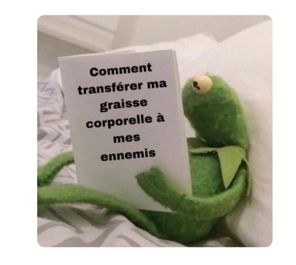 photo seance L’Ortie dieteticienne herbaliste