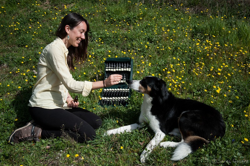 photo seance Gilbert Paola