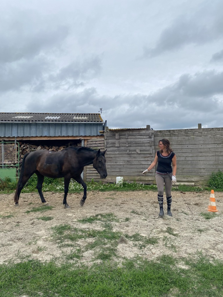 photo seance Marjolaine Thomas