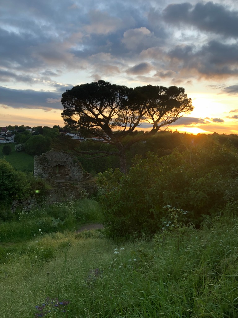 photo activite Aurélia Le Neillon