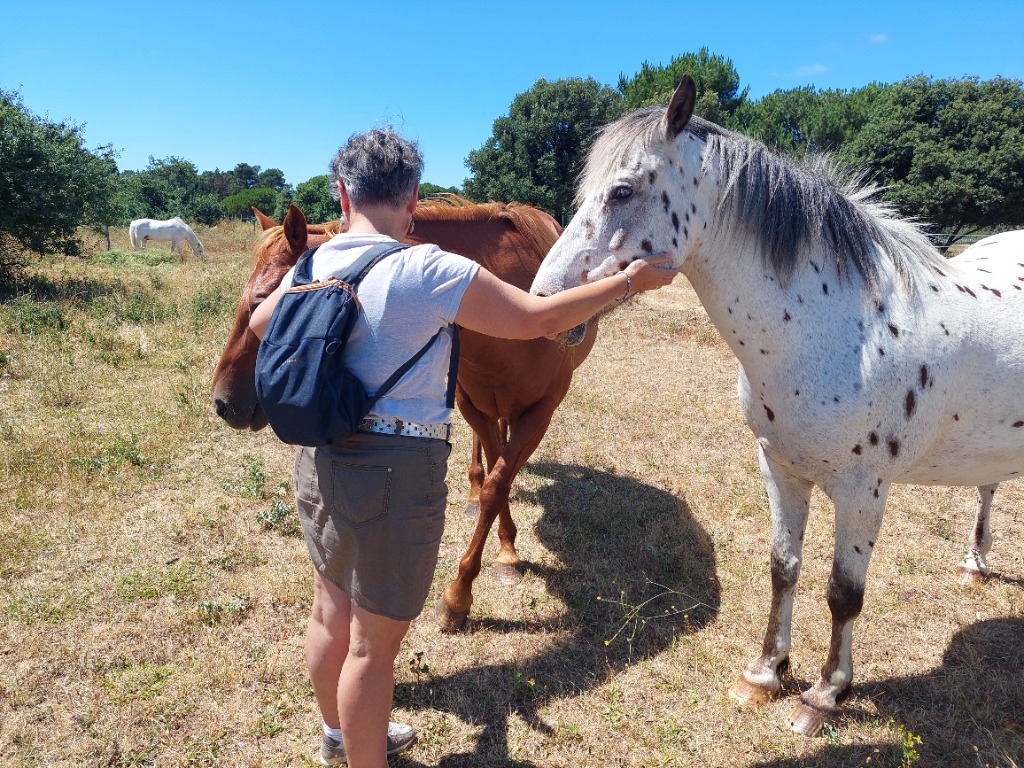 photo activite ROBIN Cécile