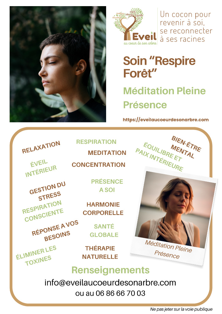 photo diplome Eveil au coeur de son arbre