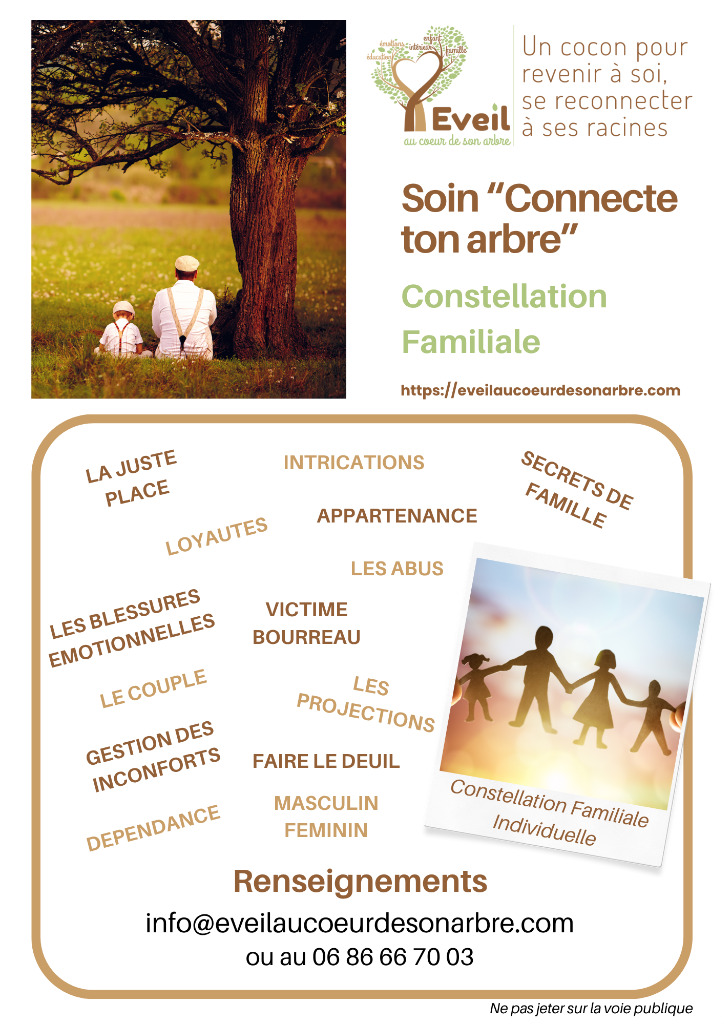 photo seance Eveil au coeur de son arbre