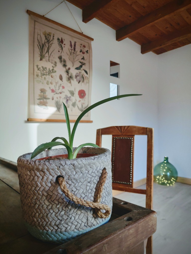 photo cabinet Marie Alexis