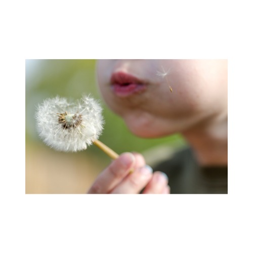 photo activite Le Souffle Heureux