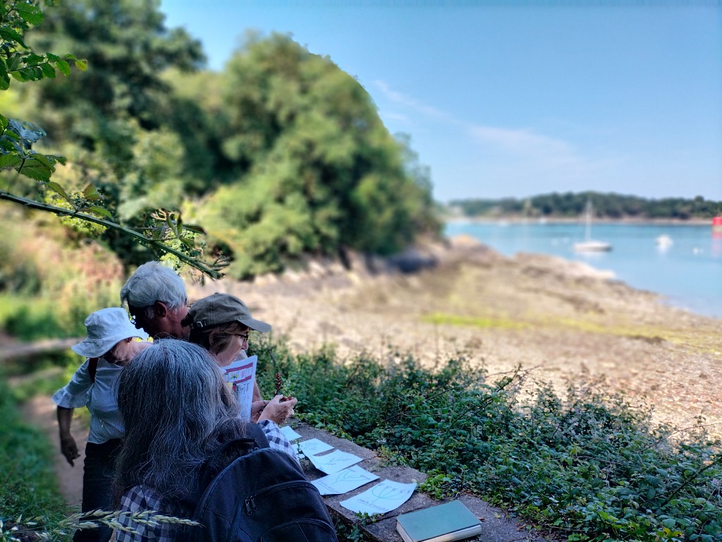 photo activite Maud Maizière