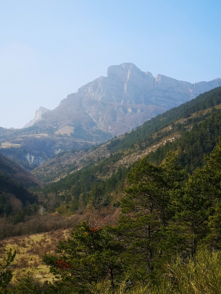 photo cabinet Laetitia Bellagamba