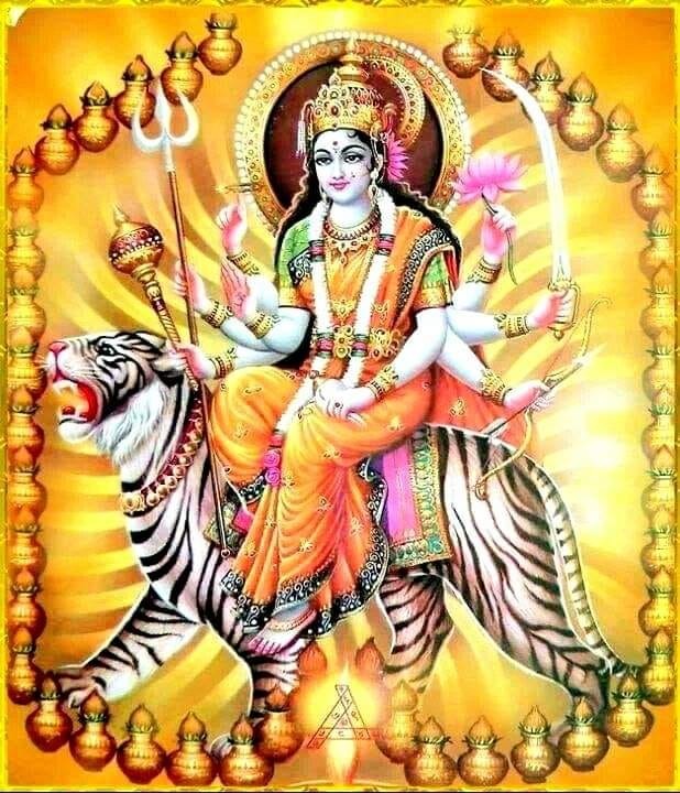 photo portrait Narayani Magnétiseuse