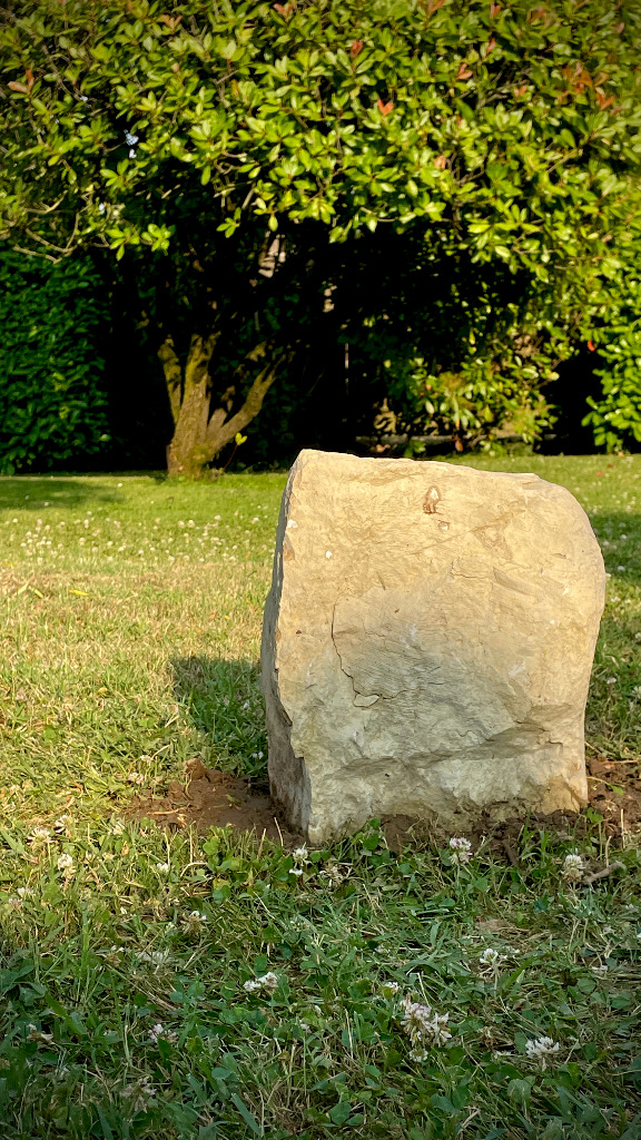 photo activite Johan KOVACS - Geobyo