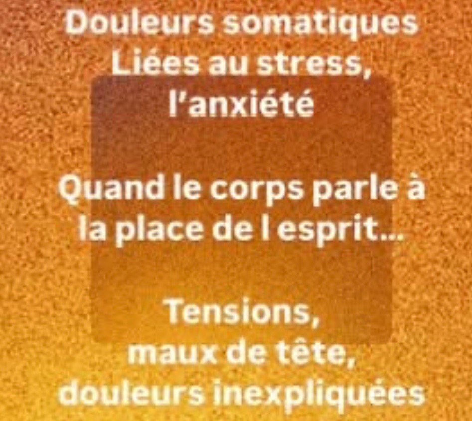 photo cabinet Inga Barbalat