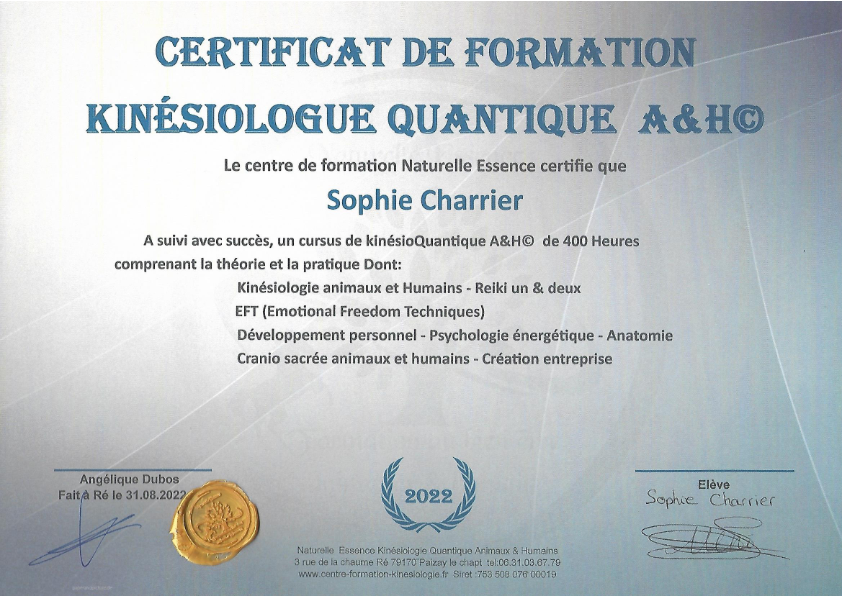 photo diplome L’Etincelle kinésiologie Sophie Charrier