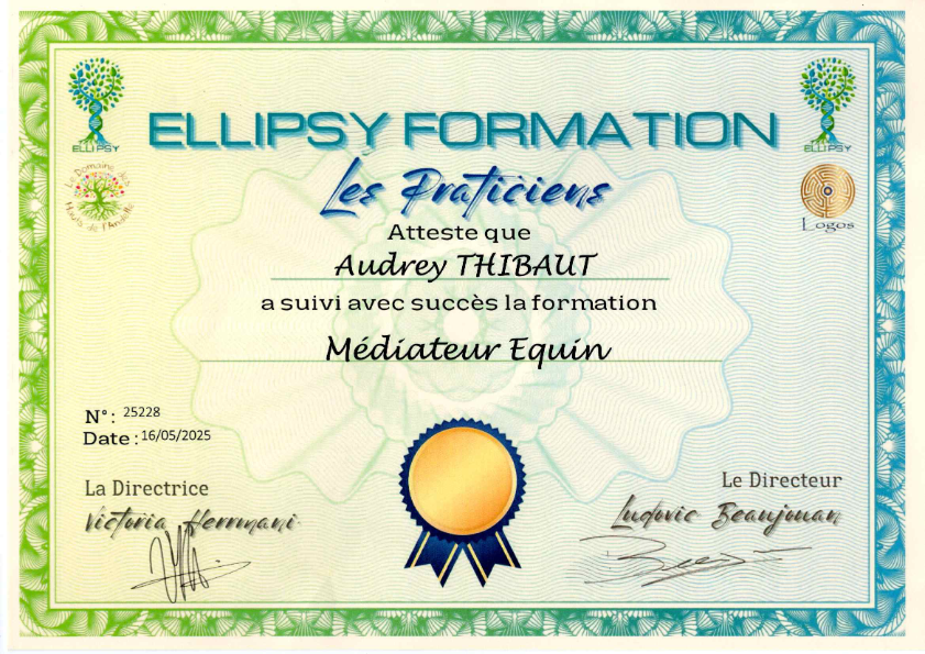 photo diplome Audrey Thibaut