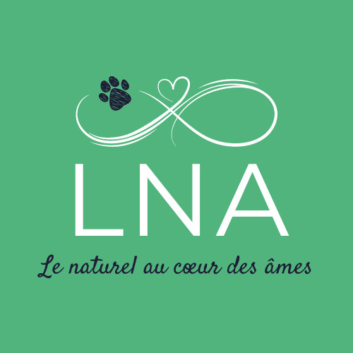 photo cabinet Helena Wittmann