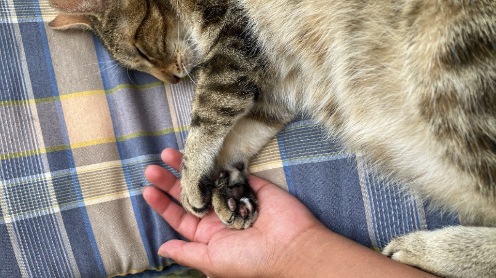 photo seance Helena Wittmann