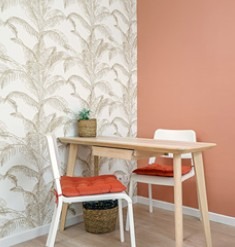 photo seance D.S Accompagnement- Douleurs chroniques, stress