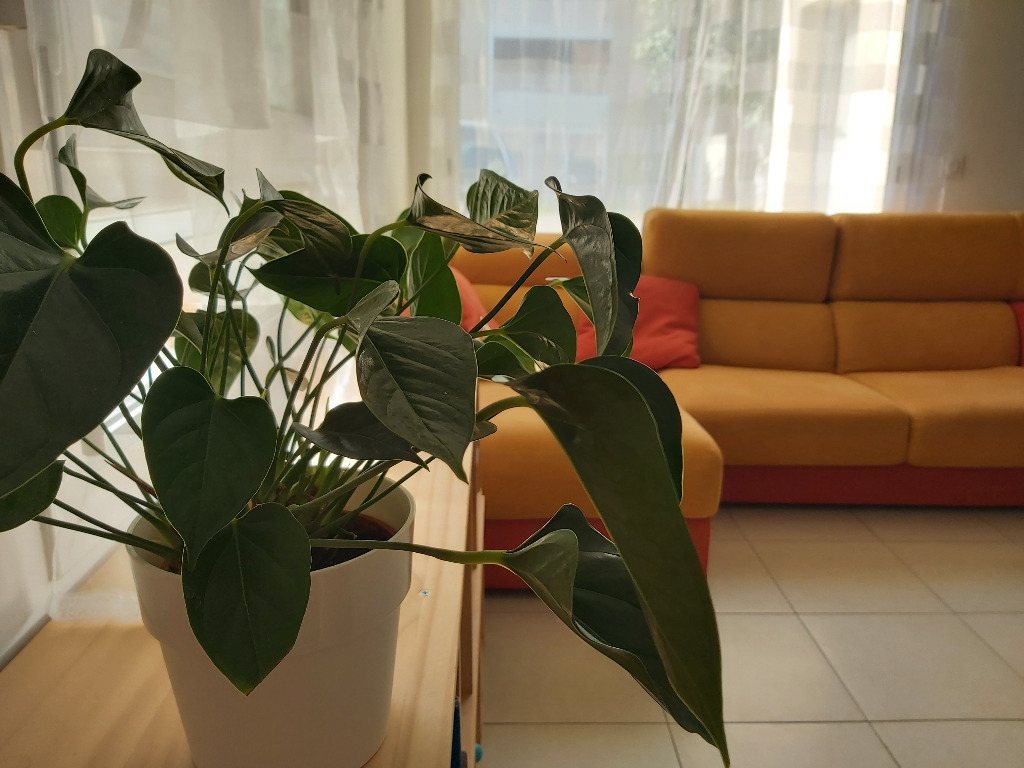 photo cabinet Christophe Marmignon