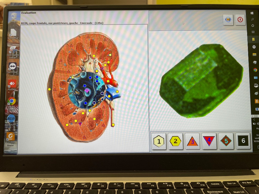 photo activite Rachel Blanchard