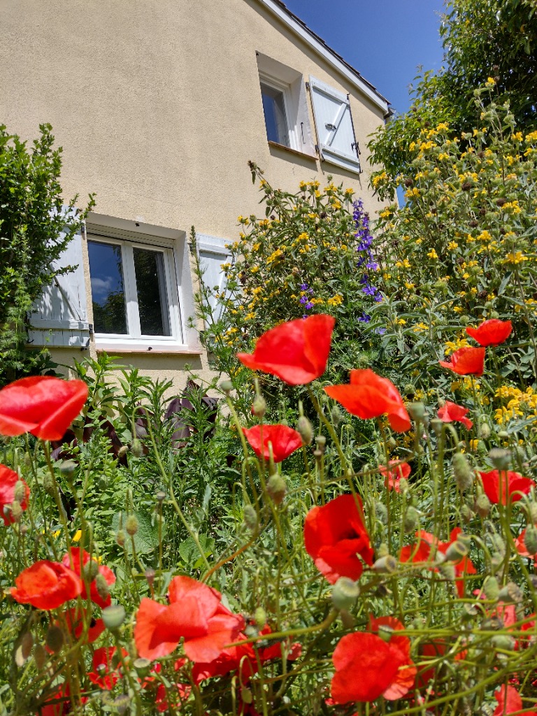photo portrait Anabelle LANGLAIS