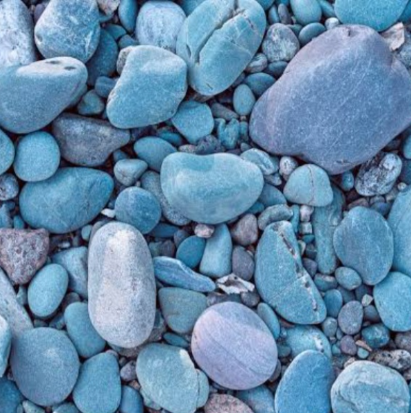 Fabienne B. Dynamique