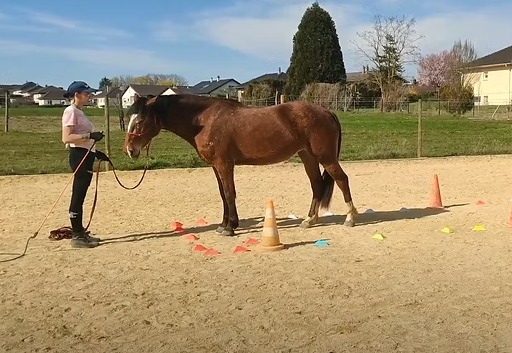 photo cabinet MDCoaching 