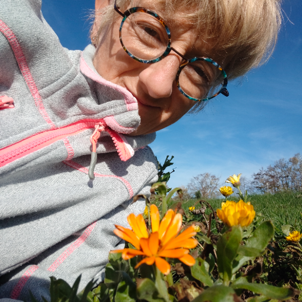 Les Demoiselles du Plateau