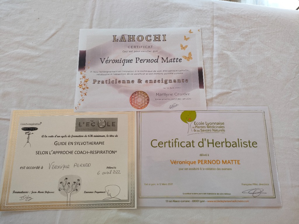 photo diplome Les Demoiselles du Plateau