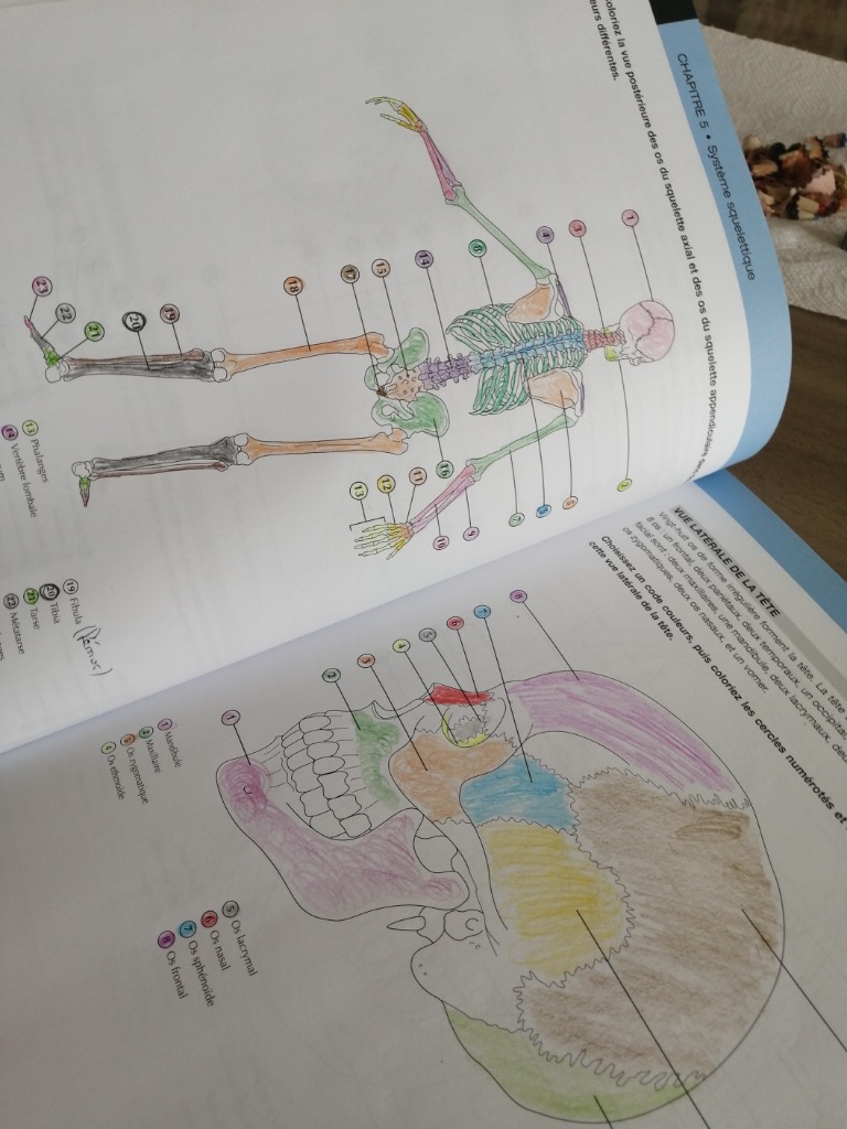 photo seance Kinesiologie.mg