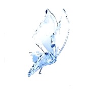 photo activite Nathalie DESILE