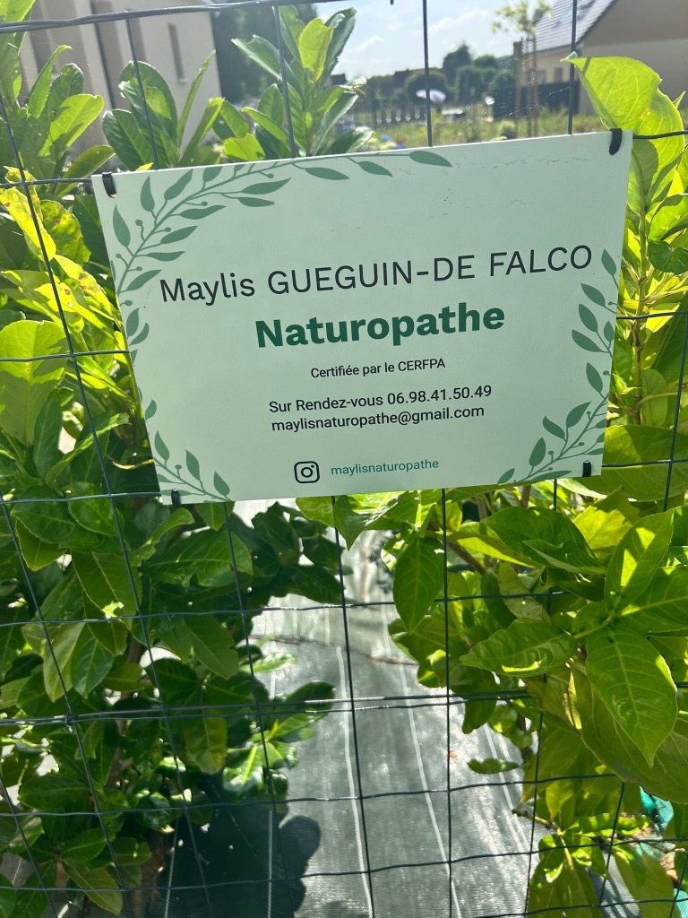 photo seance Maylis GUEGUIN DE FALCO Naturopathe