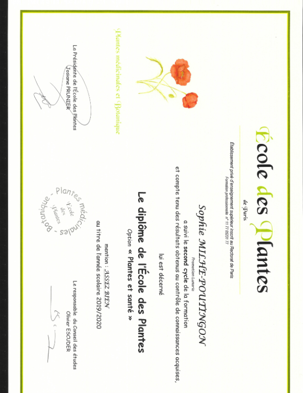 photo diplome Poutingues & Co