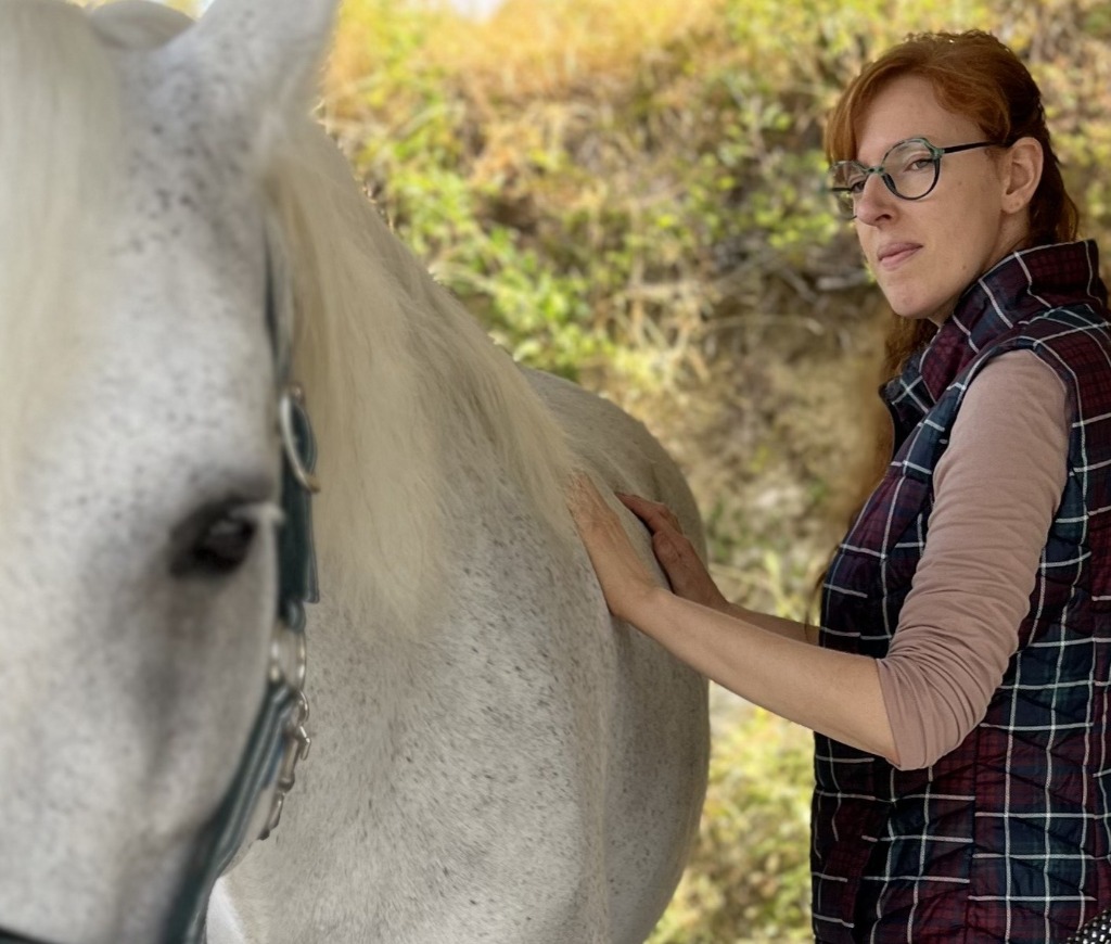 photo cabinet OPHRAYA - Shiatsu équin, naturopathie animale