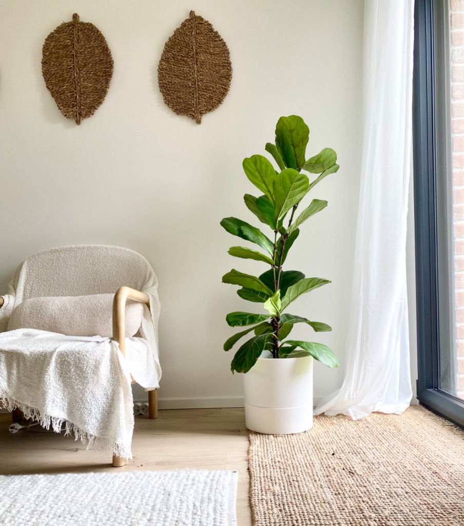 photo activite Maëlle Zatar