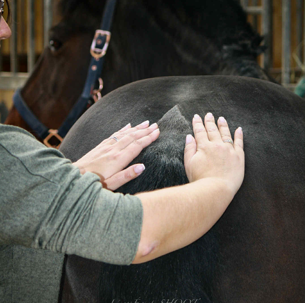 Les chemins de l’Harmonie