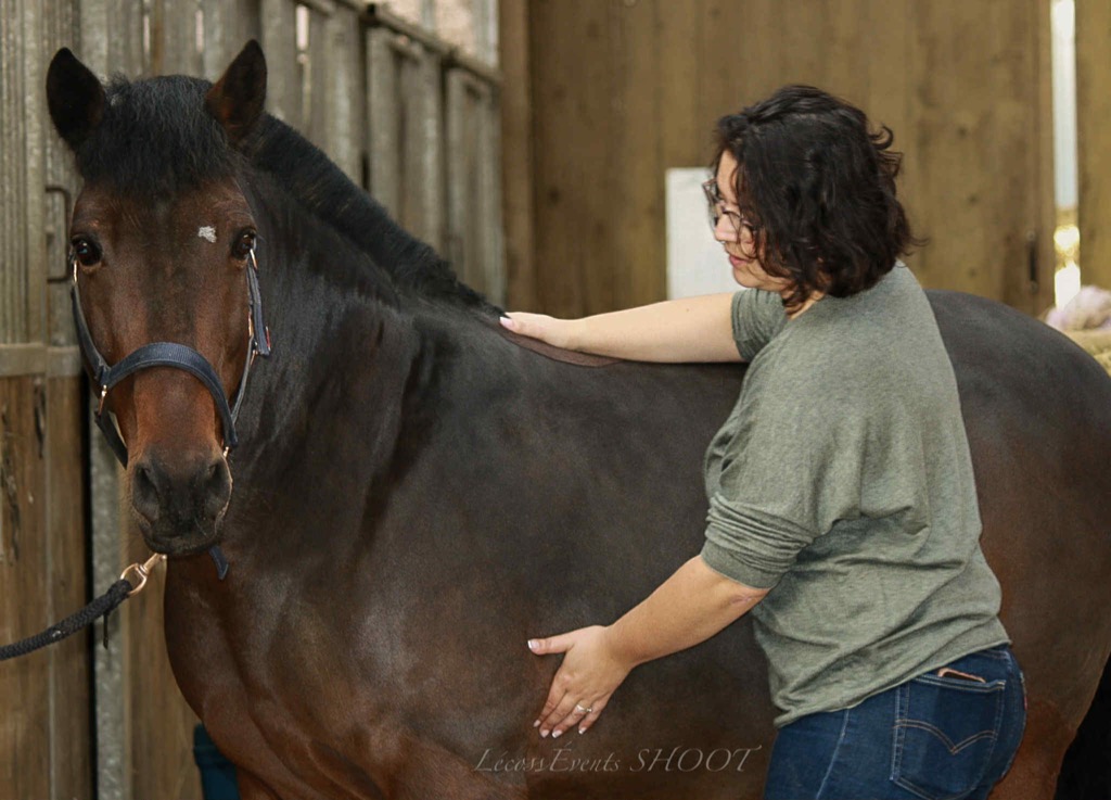 photo activite Les chemins de l’Harmonie