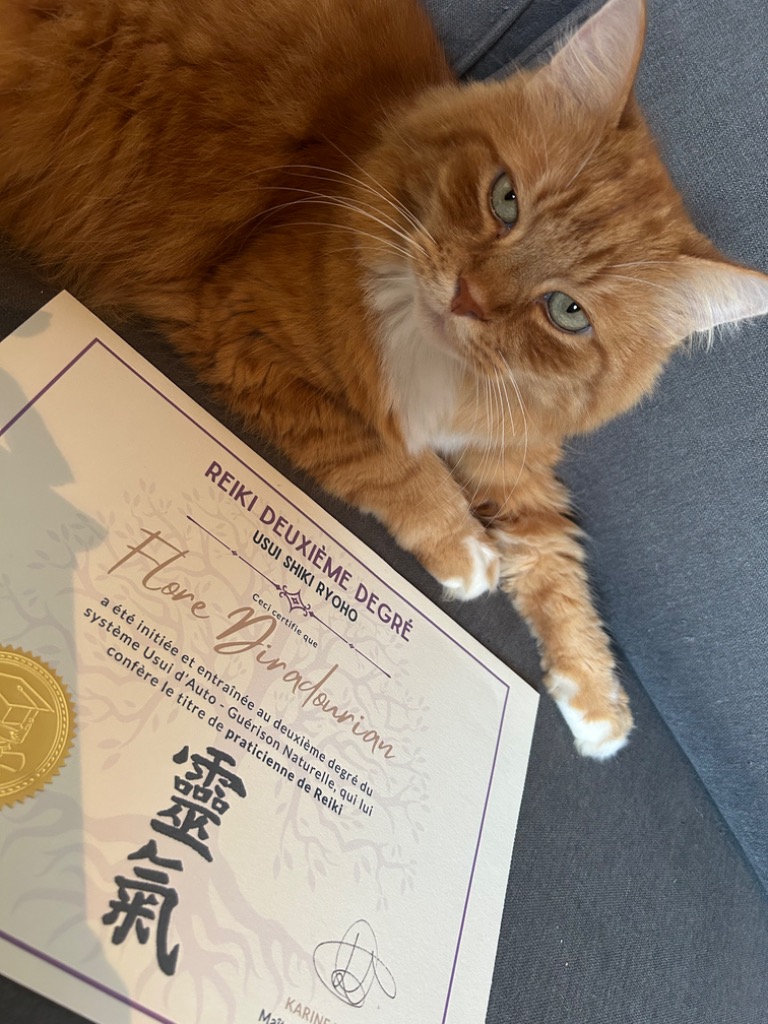 photo diplome Les chemins de l’Harmonie