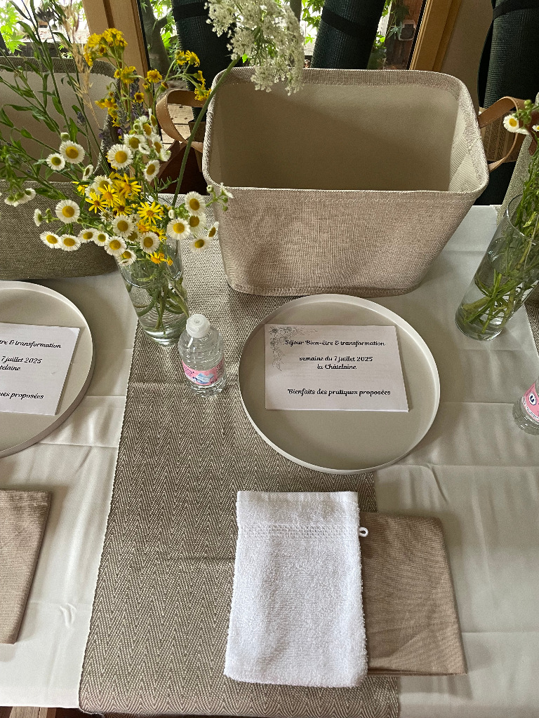 photo activite Sarah Terrier