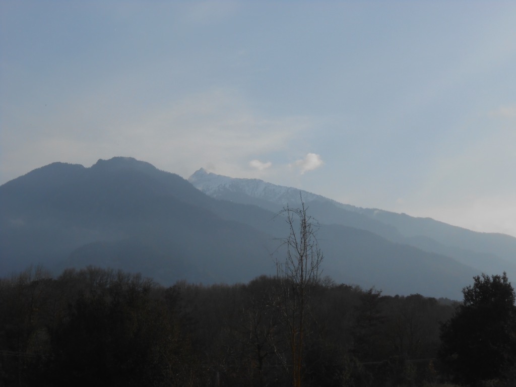 photo portrait Mathilde LEPEU