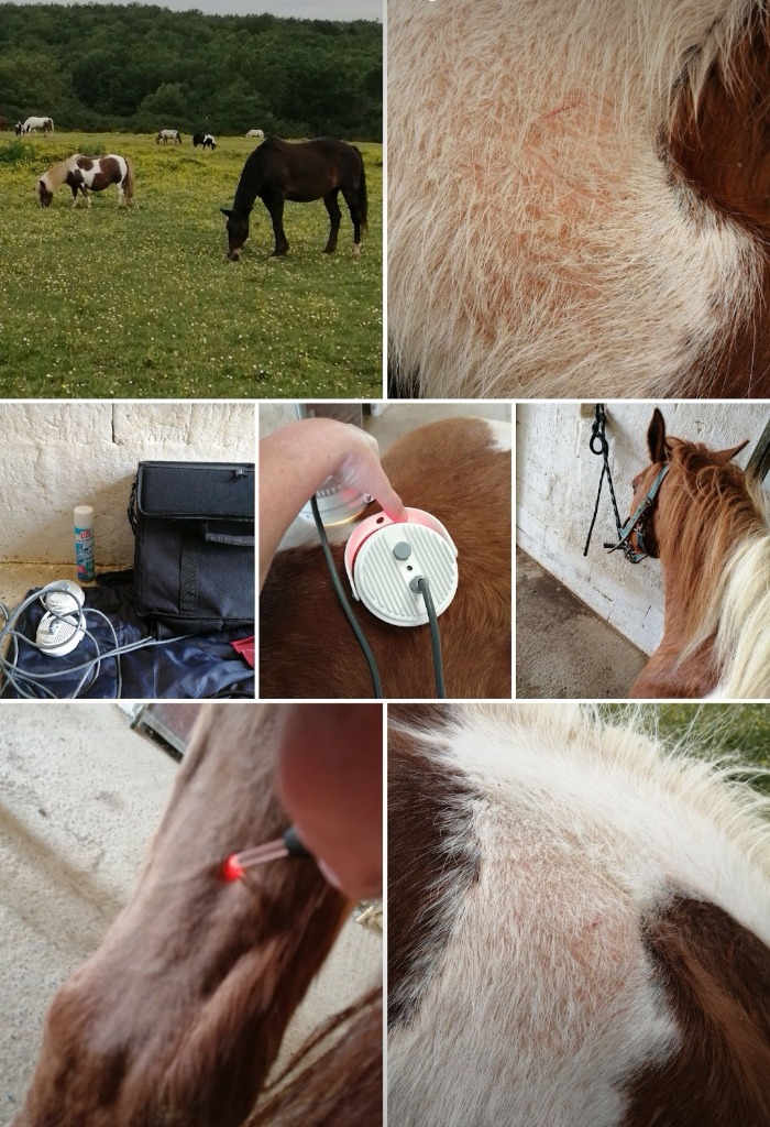 photo activite Sandrine Henno