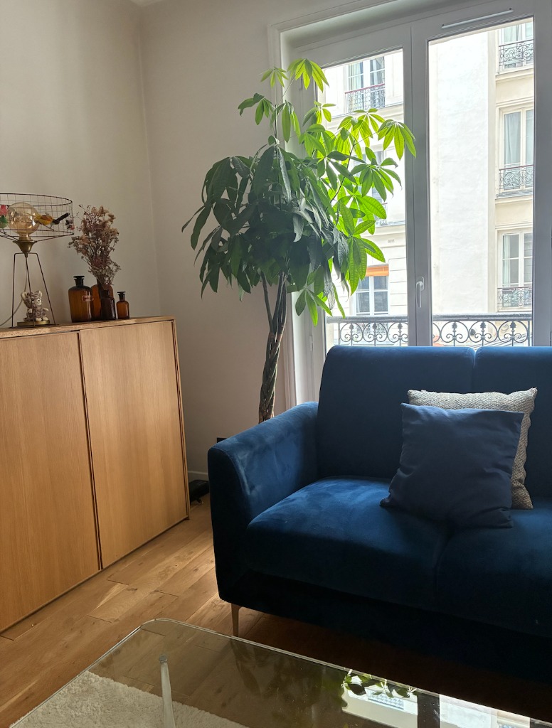 photo cabinet Allan Dauge