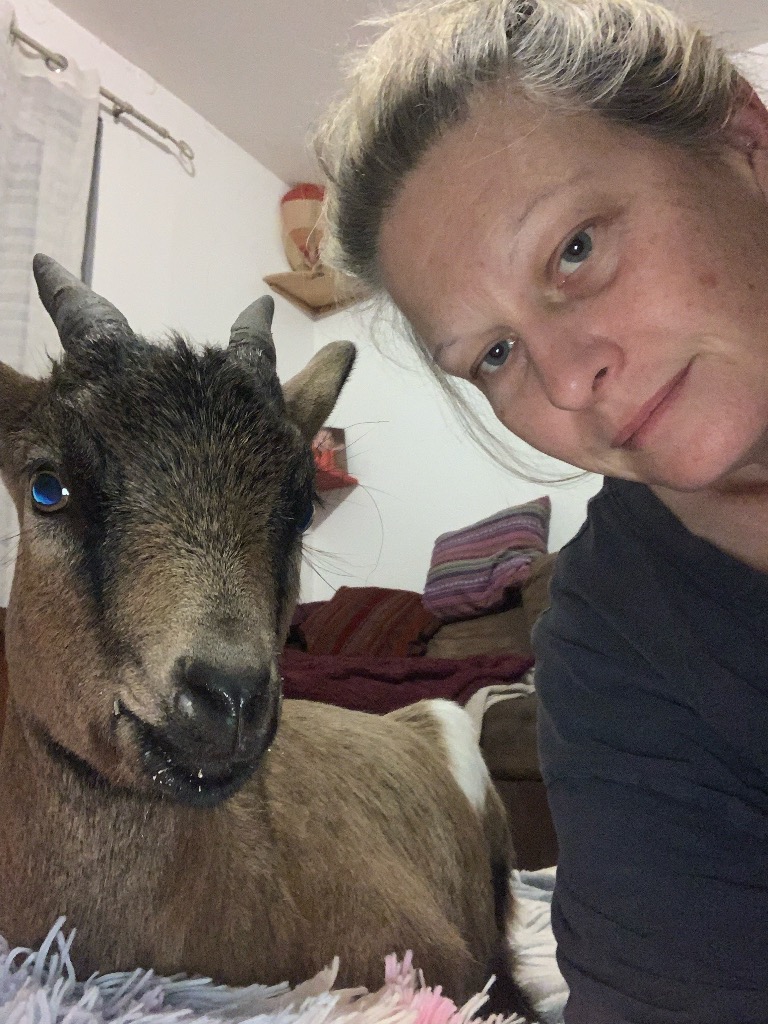 photo activite Leetherapie Sonotherapie médiation animale