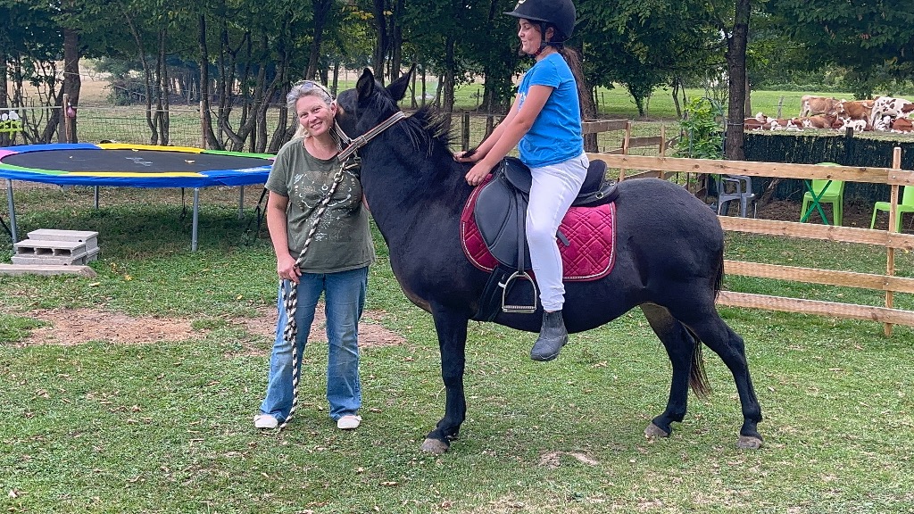 photo seance Leetherapie Sonotherapie médiation animale