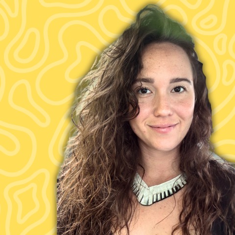 photo cabinet Haude VIGNAUX