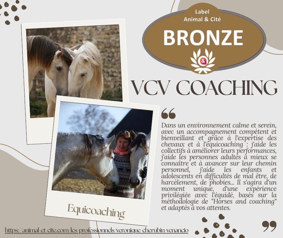 photo activite Veronique Cherubin Venancio 