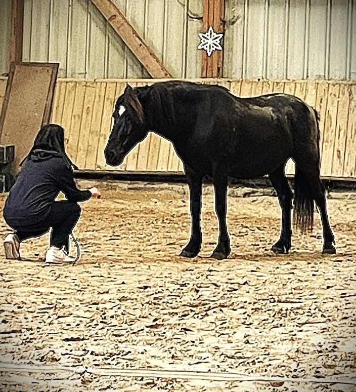 photo cabinet Veronique Cherubin Venancio 