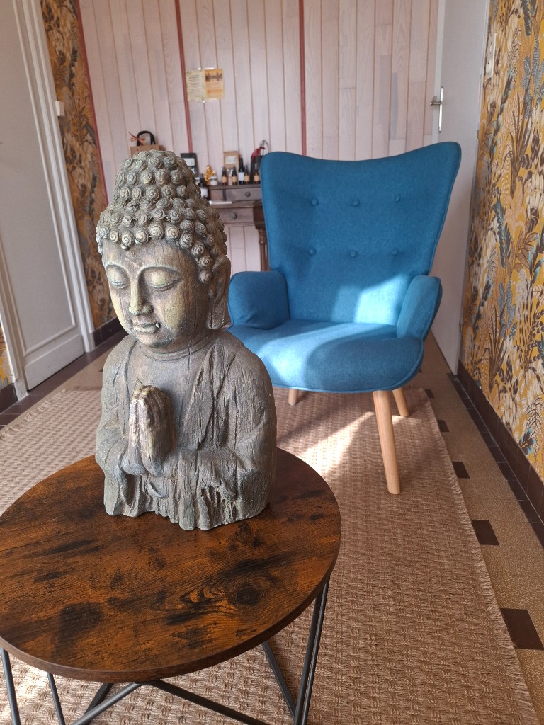 photo seance Agnès Lombart Massart