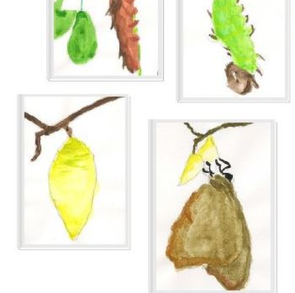 Christelle WOHLSCHIES - Atelier de la Chrysalide