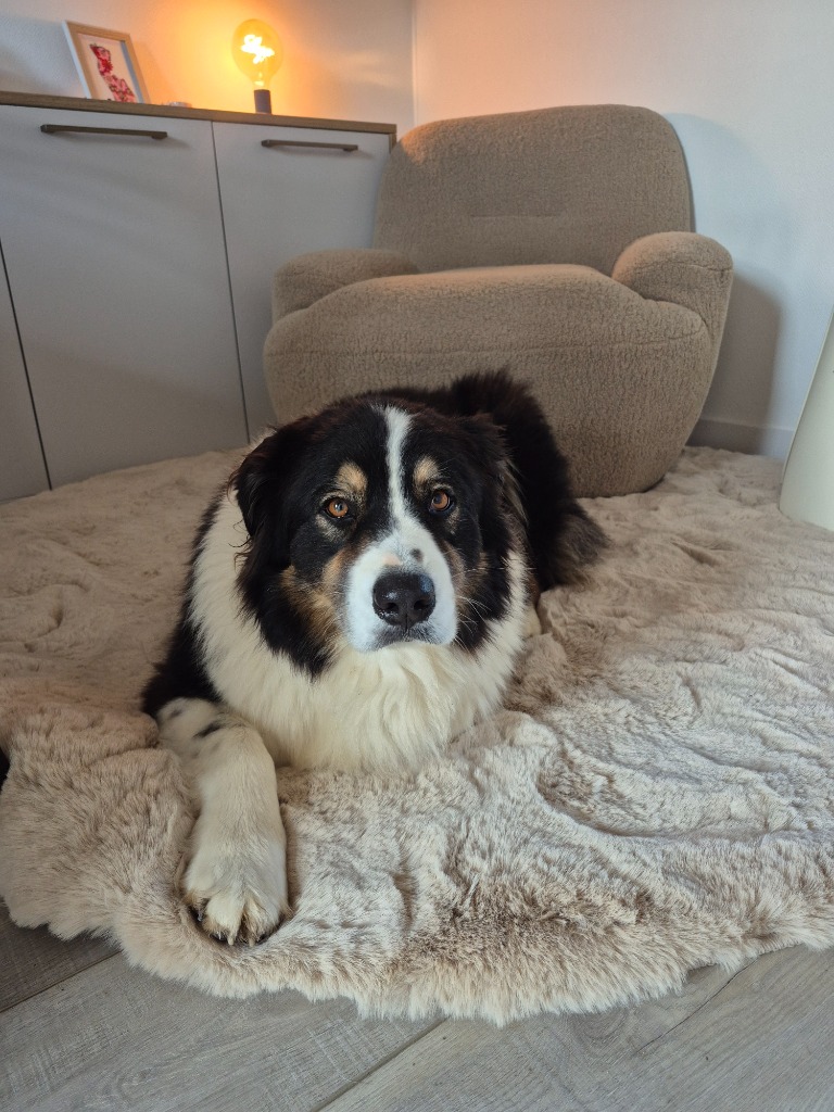 photo seance Stéphanie  Paillet Wingerter Sophro’Zenimale