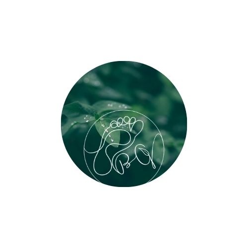 photo activite Blandine Guillo Réflexologie